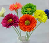 ���޾�����