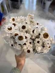 ��������������