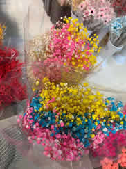 ��������������