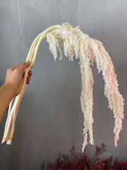 ��������������