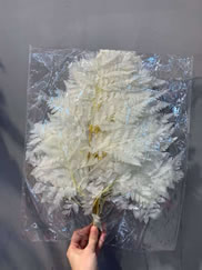 ����������һ������