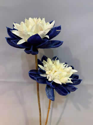 �����ɻ�����