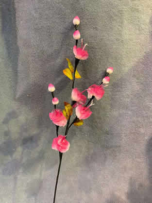 ���ϸɻ�����